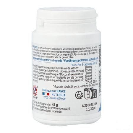 Synerbiol Caps 60  -  Lab. Nutergia