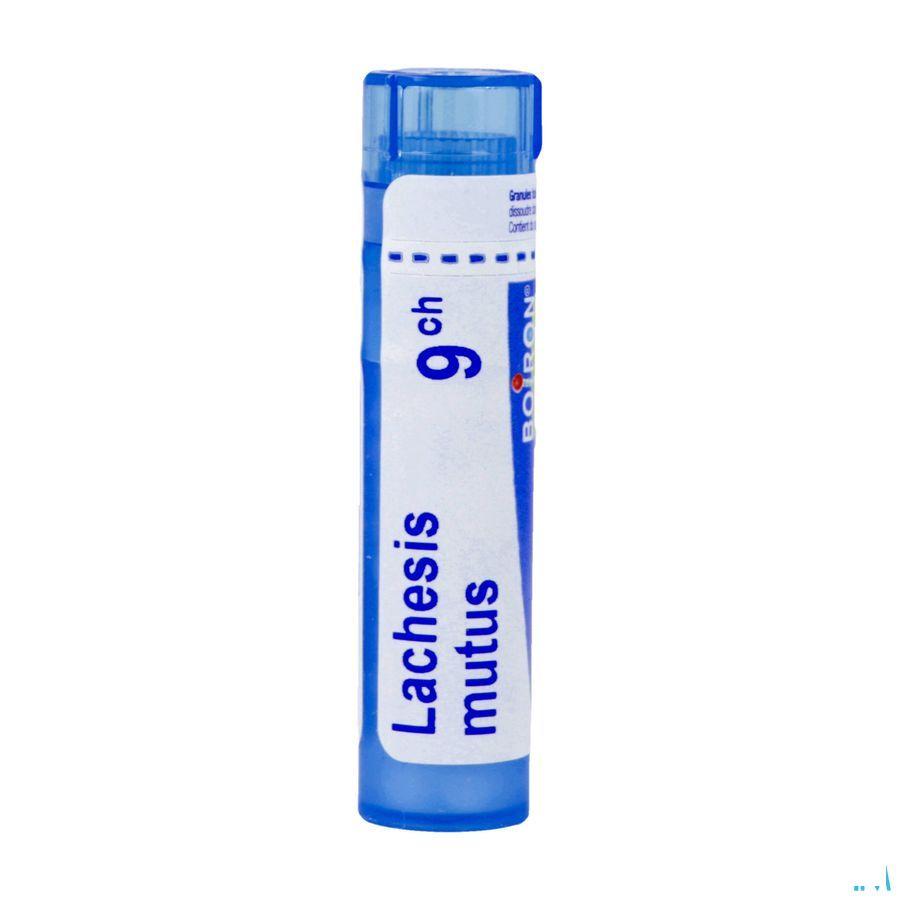Lachesis Mutus 9CH Gl  -  Boiron
