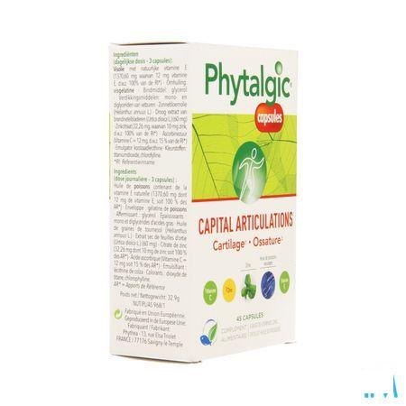 Phytalgic Capsule 3x15