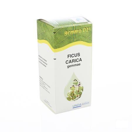 Ficus Carica Gemmo D1 125 ml  -  Boiron