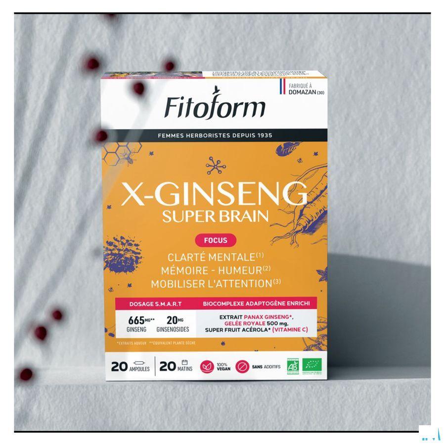 Pana x Ginseng Bio Amp 20 Fitoform