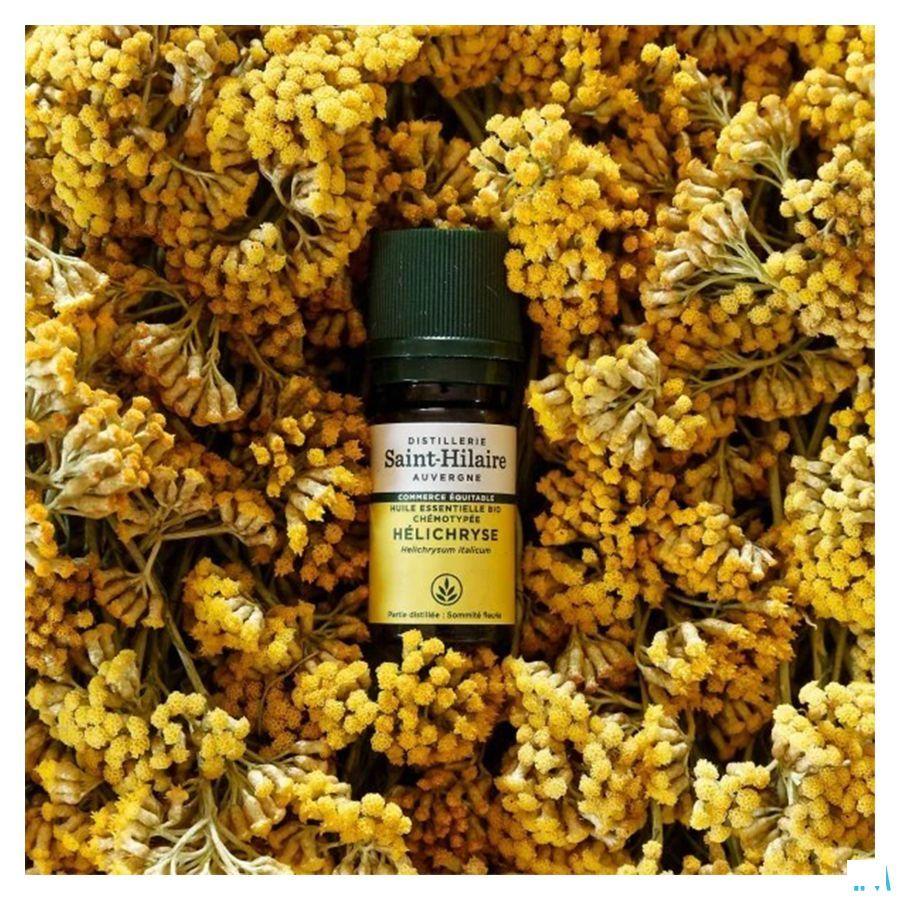 Helichryse Bio Huile Essentielle 5 ml  -  Bioholistic Diffusion