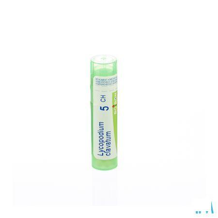 Lycopodium Clavatum 5CH Gr 4g  -  Boiron