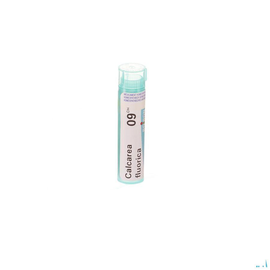 Calcarea Fluorica 9CH Gr 4g  -  Boiron