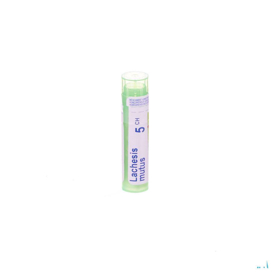 Lachesis Mutus 5CH Gr 4g  -  Boiron
