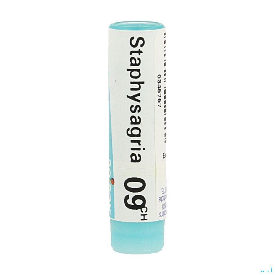 Staphysagria 9CH Gl  -  Boiron