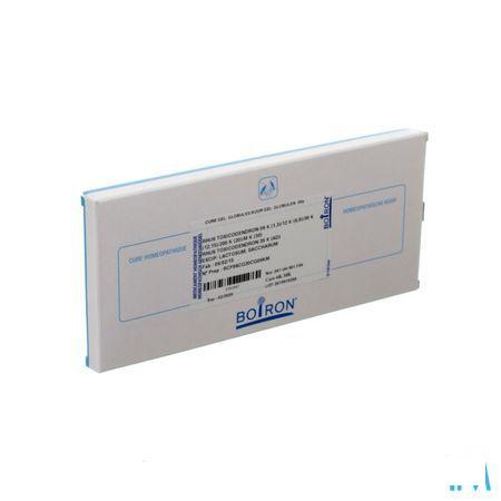 Rhus Toxicodendron Cure 6k-MK  -  Boiron
