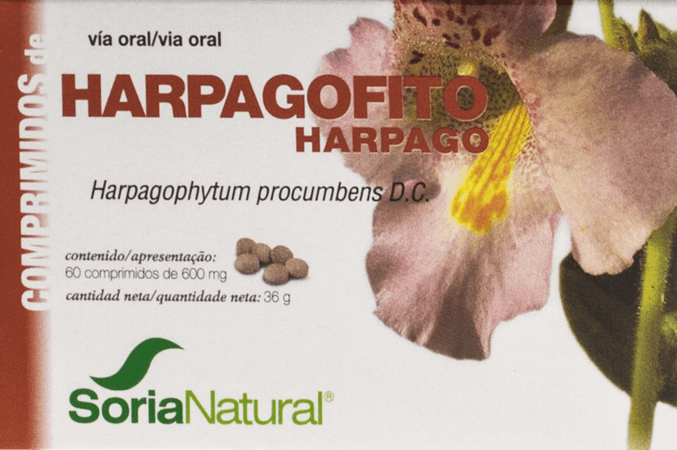 Soria 24-s Harpagophytum 60 Comprimes  -  Soria Bel