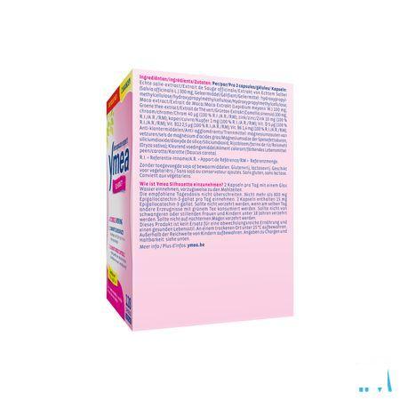 Ymea Silhouette Capsule 128 Be V2