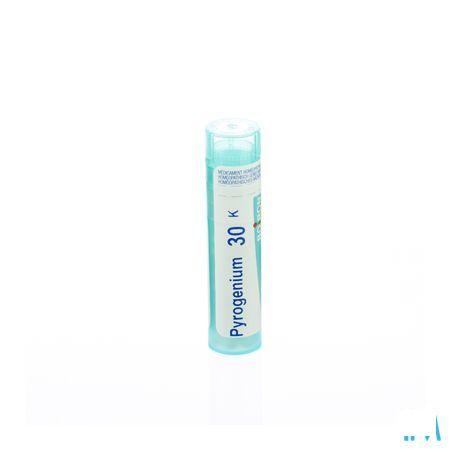 Pyrogenium 30K Gr 4g  -  Boiron