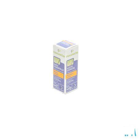 Basilic Exotique Huile Essentielle 10 ml  -  Pranarom