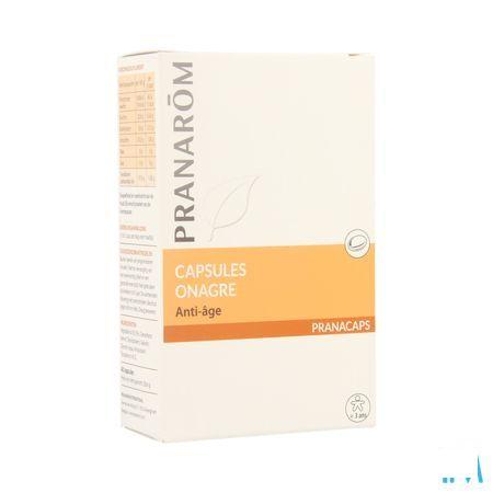Teunisbloem Capsule 40  -  Pranarom