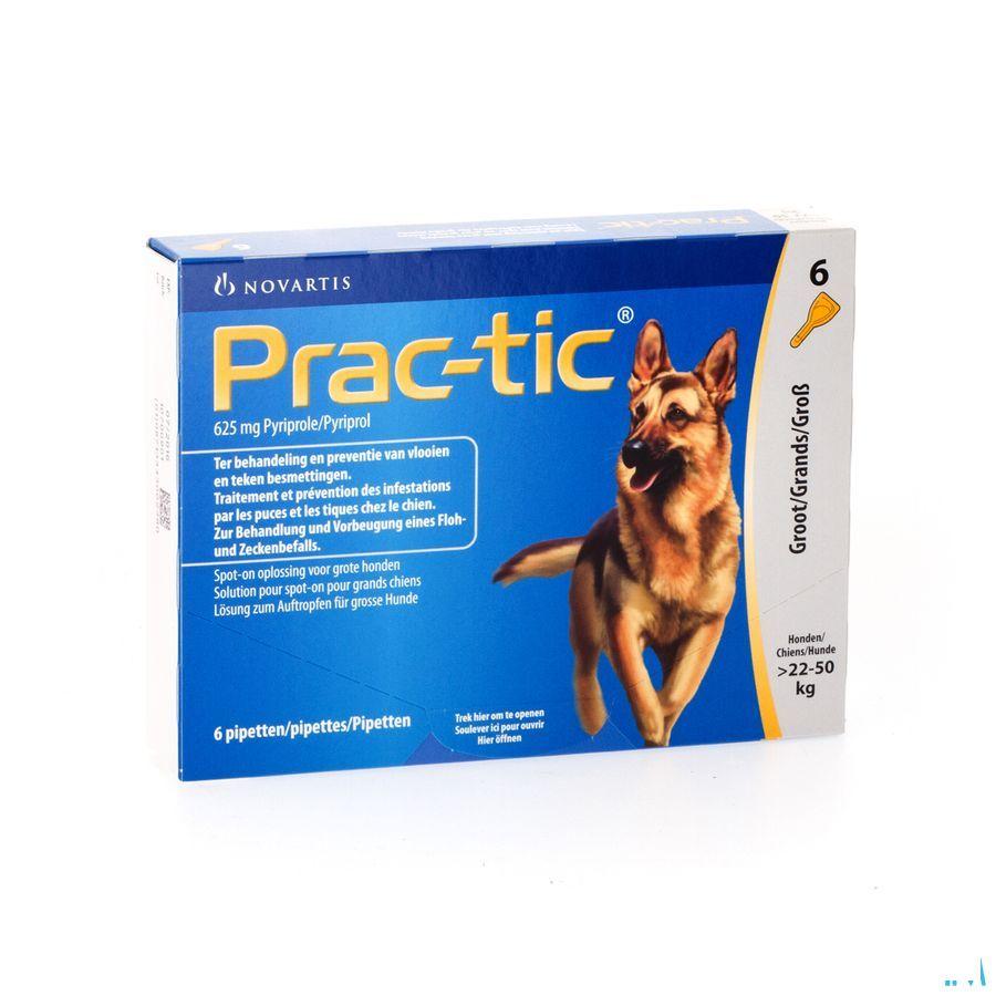Prac-tic Spot-on Anti vlo-teek Grote Hond .2x3