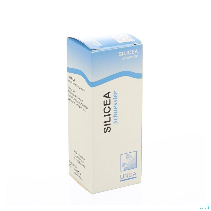 Schuessler N Xii Silicea 100  -  Boiron