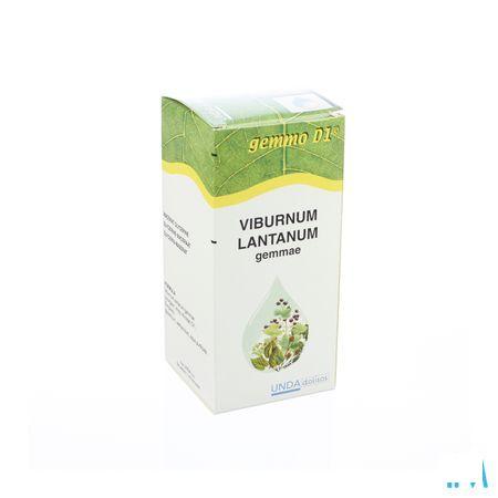 Viburnum Lant. Gemmo D1 125 ml  -  Boiron