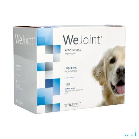 Wejoint Lb 120 Large Breed Comp 4X30