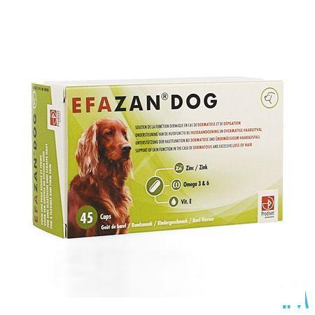 Efazan Dog Capsule 45