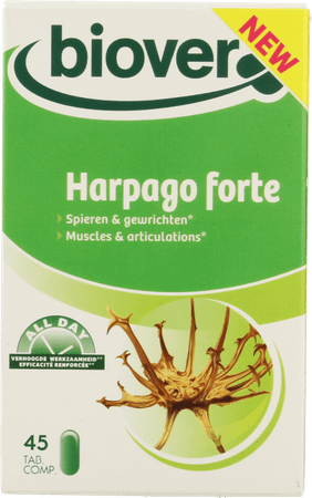 All Day Harpago Forte Tabletten 45 All Day Harpago Forte Tabletten 45