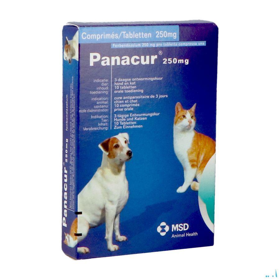 Panacur Comprimes Vet 10 X 250 mg 