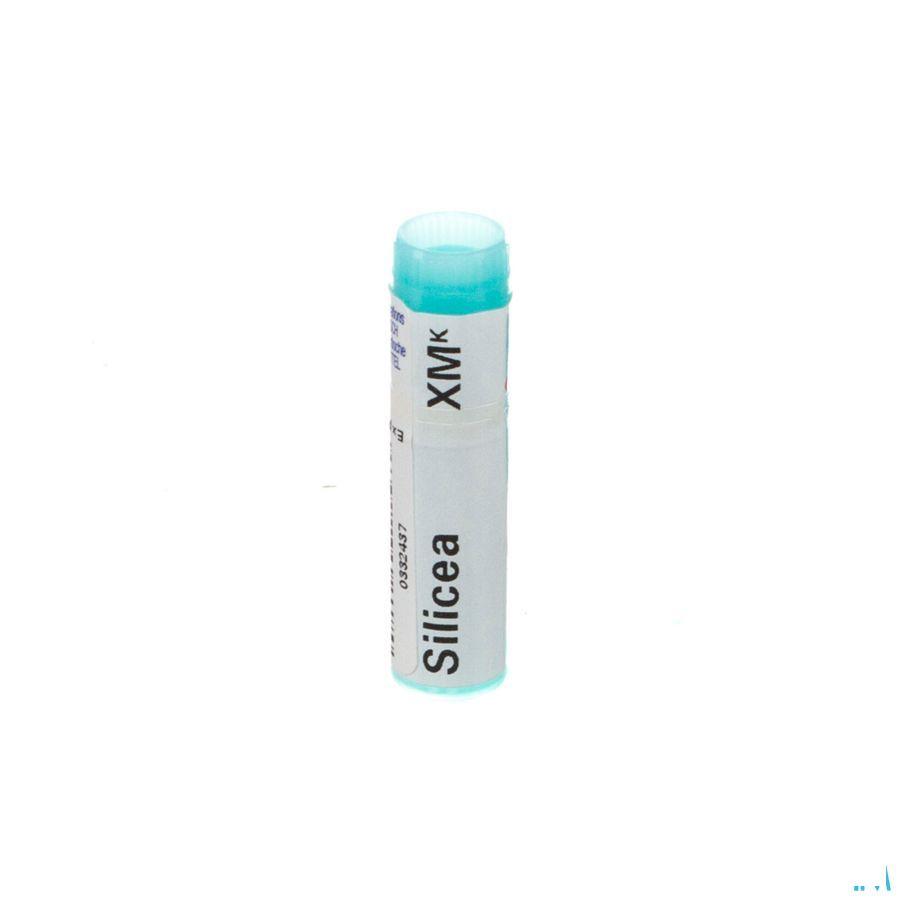 Silicea XMK Gl  -  Boiron