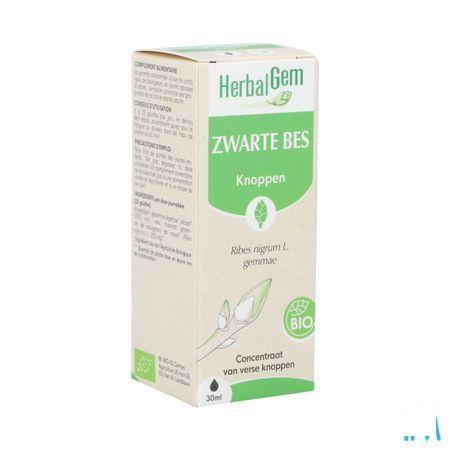 Herbalgem Zwarte Bes Maceraat 30 ml  -  Herbalgem