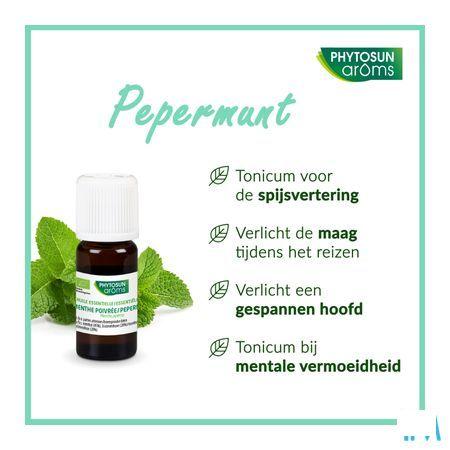 Phytosun Pepermunt Fr-bio-01 10 ml
