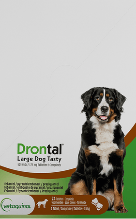 Drontal Large Dog Tasty 525/504/175 mg Comprimes 24