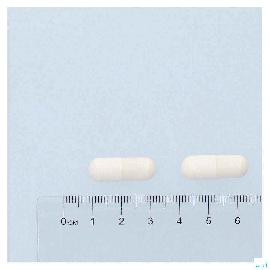Pure Sporebiotica + V-Capsule 30  -  Solidpharma