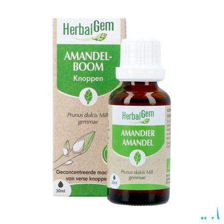 Herbalgem Amande Do Bio 30 ml