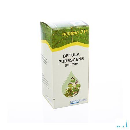 Betula Pub.gem. Gemmo D1 125 ml  -  Boiron