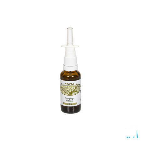 Cepa Forte Neusspray 30 ml 