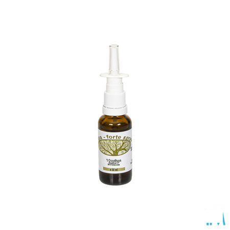 Cepa Forte Neusspray 30 ml 