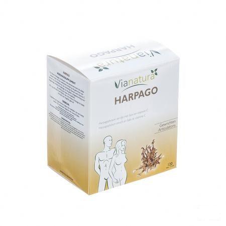 Harpago Tabletten 120x93g  -  Biover