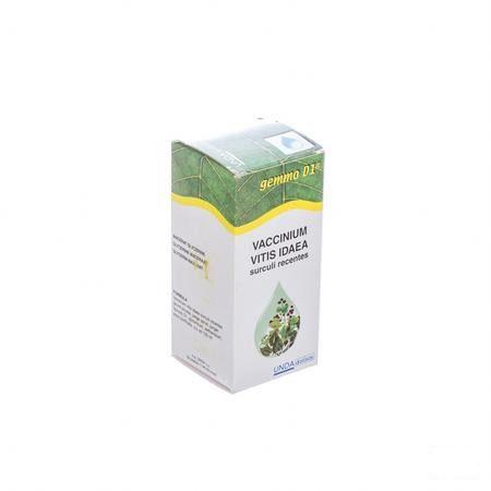 Vaccinium Vit.id.gemmo D1 125 mlboiron  -  Boiron