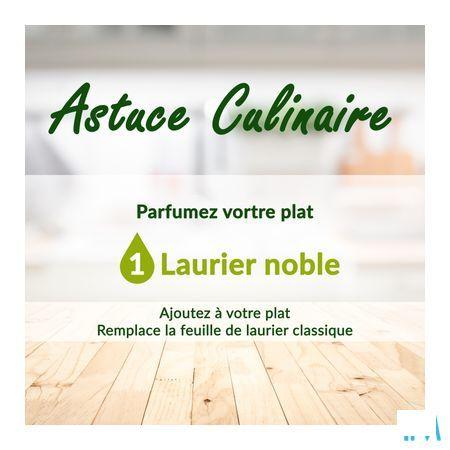Phytosun Laurier Noble Fr-bio-01 5 ml