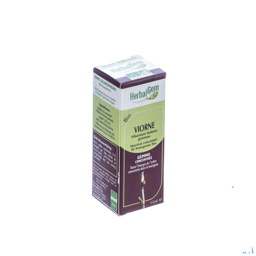 Herbalgem Wollige Sneeuwbal Maceraat 15 ml  -  Herbalgem