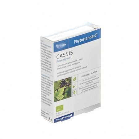 Phytostandard Cassis Capsule 20  -  Pileje