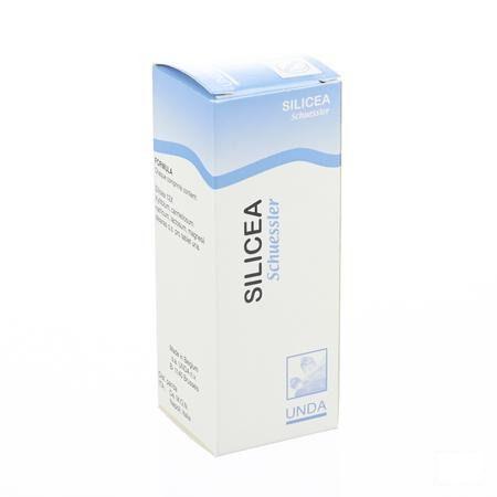 Schuessler N Xii Silicea 100  -  Boiron