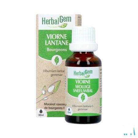 Herbalgem Viorne Bio 30 ml