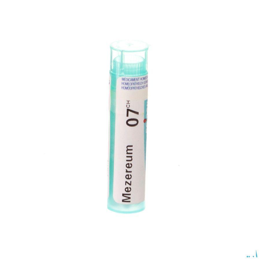 Mezereum 7CH Gr 4g  -  Boiron