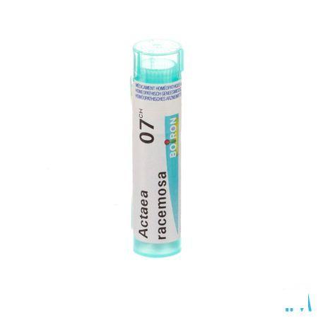 Actaea Racemosa 7CH Gr 4g  -  Boiron