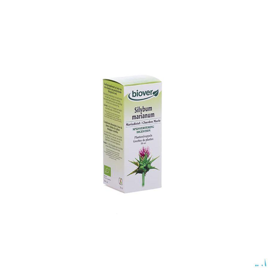 Mariadistel Teinture Bio 50 ml   -  Ocebio