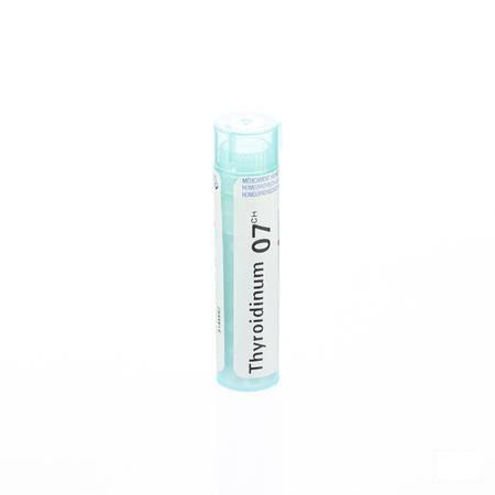 Thyroidinum 7CH Gr 4g  -  Boiron