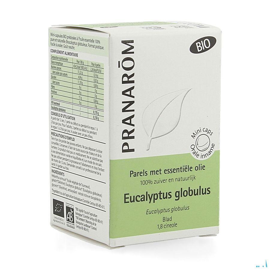 Perles Eucalyptus Globuleux Hle Ess Fl 60  -  Pranarom