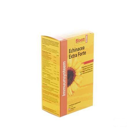 Echinacea Extra Forte Capsule 60