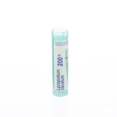 Lycopodium Clavatum 200K Gr 4g  -  Boiron