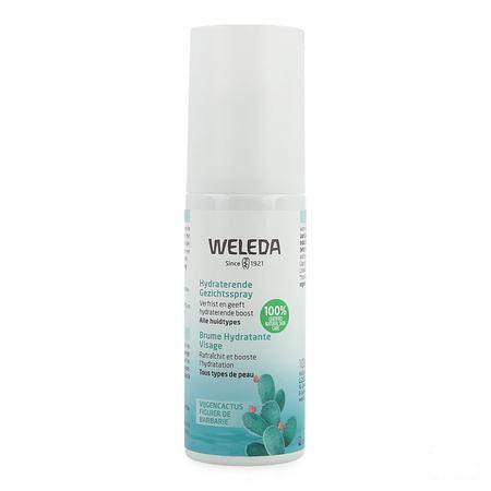 Weleda Brume Hydratante Visage 24H 100 ml  -  Weleda