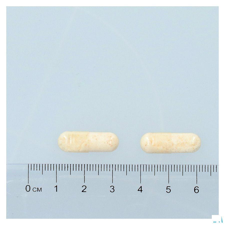 Bactecal D Caps 90