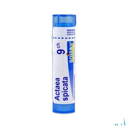 Actaea Racemosa 9CH Gr 4g  -  Boiron