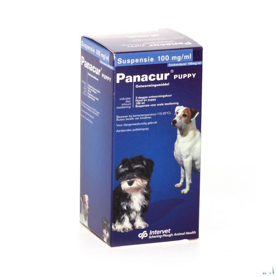 Panacur Puppy Suspension 1 X 100 ml 